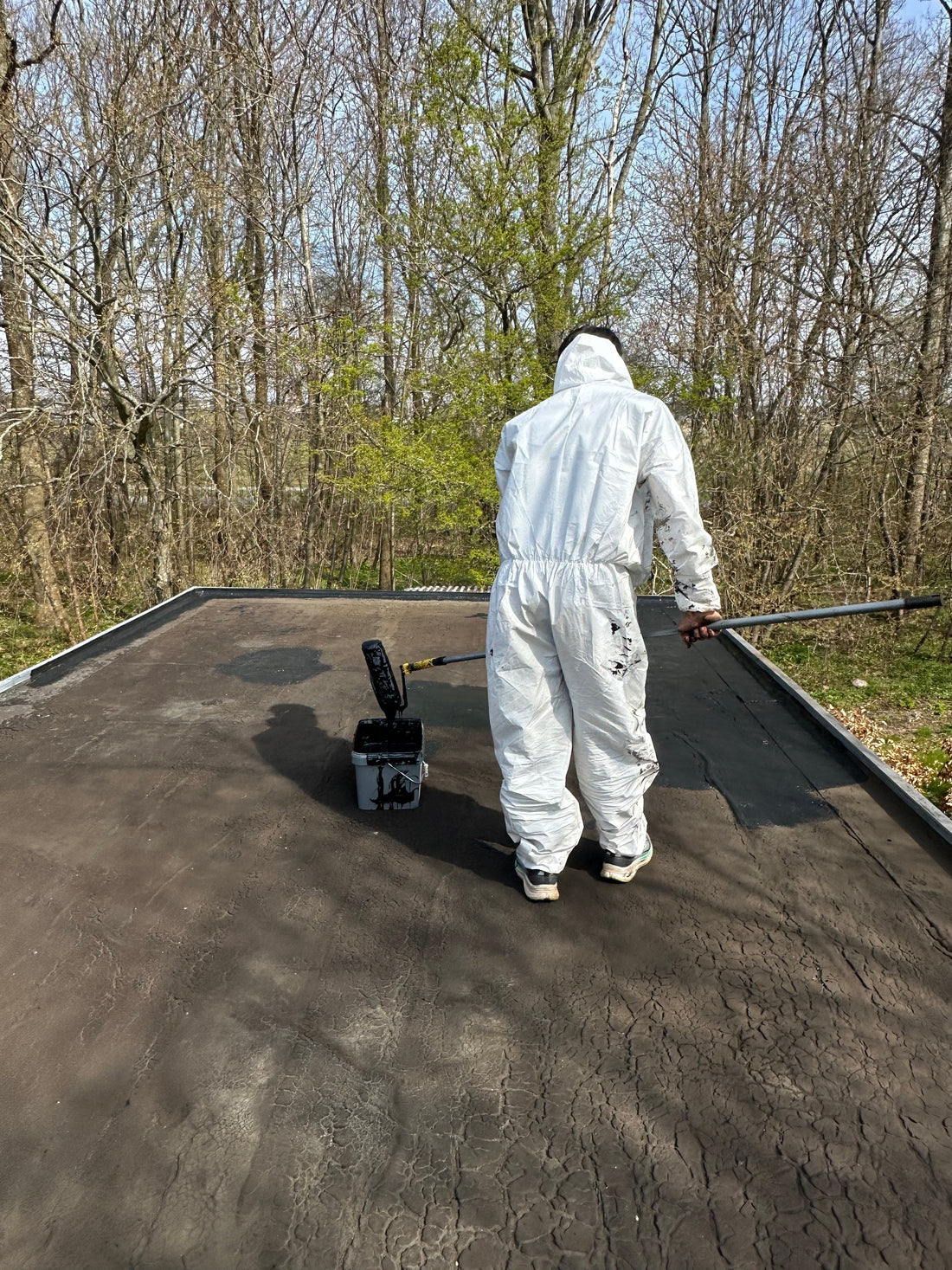 tagmembran luna roof